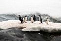 Penguins.Pleneau islands.20081120_5652