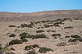 Gobi ørken.202223jun_0775
