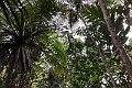 Fiji 2022 1120 Suva Rainforest Lodge 01