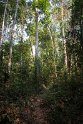 Okoki Forest.20140311_7896