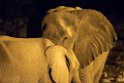 Elephant by night.20141107_1033