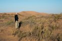 Erik Sand dunes near Walvis Bay.20141105_1254