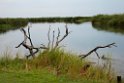 Okovango river.20141113_1380