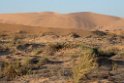 Sand dunes near Walvis Bay.20141104_1294