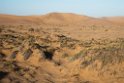 Sand dunes near Walvis Bay.20141105_1247
