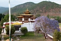 Punakla Dzong.20100424_0468