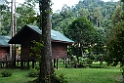 Borneo Rainforest Lodge.20110301_6345