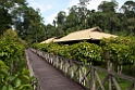 Borneo Rainforest Lodge.20110301_6346