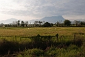 Rice fields.20110304_6479
