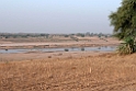 Chambal river._DSC7347