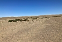 Mongoliet 2022 Gobi Desert 03