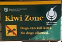 Kiwi Zone.20121113_5298