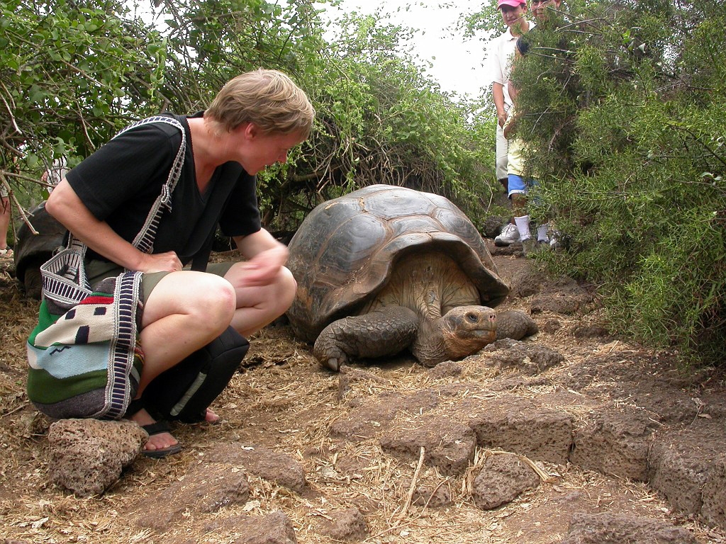 DSCN2548.JPG - Giant Tortoise (Geohelone elephantopus), Galapasgos Islands 2003