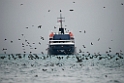 Polarlomvie_20130706_1588