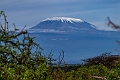 Kilemanjaro.20240403-_DSC1287