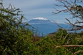 Kilemanjaro.20240403-_DSC2981