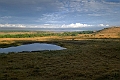 Lake Nakuru N.P.20240325_072859 kopier