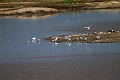 Sandterne.20240325-_DSC0236