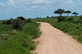 Tsavo East.20240412-_DSC2807