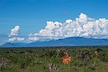 Tsavo East.20240412-_DSC3096 kopier