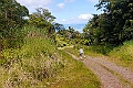 Taveuni mountain.202222nov_1121