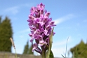 DSCN2991
