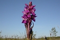DSCN3262