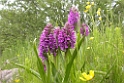 DSCN3384