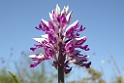 DSCN3061