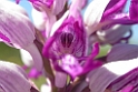 DSCN3067