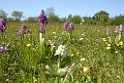 DSCN3071