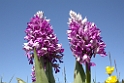 DSCN3073
