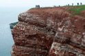 Helgoland.20120504_9887