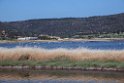 Kalloni saltpans_DSC7657