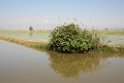 Ebro deltaet.20150531_5169