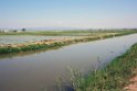 Ebro deltaet.20150531_5170