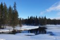Landskab.202221mar_1265