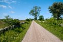 Stockvikan.20110620_7660