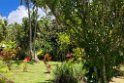 Fiji 2022 1117 Kadavu Papageno Resort 05