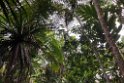 Fiji 2022 1120 Suva Rainforest Lodge 01