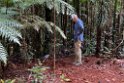 New Caledonia 2022 1111 Kagu 08