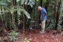 New Caledonia 2022 1111 Kagu 10
