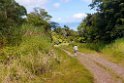 Taveuni mountain.202222nov_1121