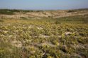 Navarra steppe.20150607_5091