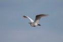 Kohejre_20140919_0864
