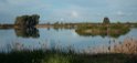 Laguna de Tarelo.20170324_6707