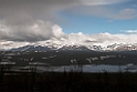 Denali Hwy.20120618_2782