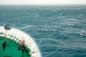 Drake Passage.20081121_5580