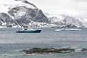 Shingle cove.20081115_4721