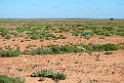 Birdsville Track.20101031_2114